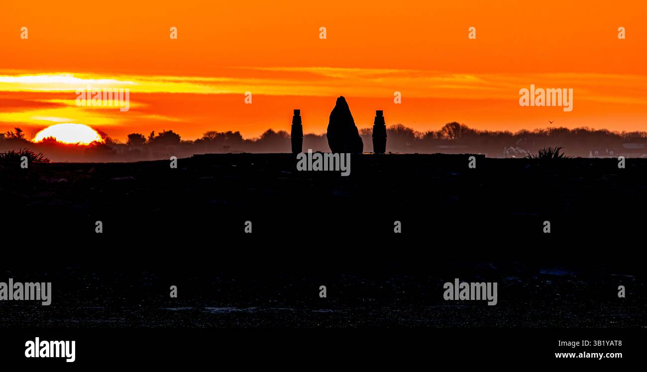 Un'alba sul Famine Memorial e sul Celia Griffin Memorial Park Foto Stock