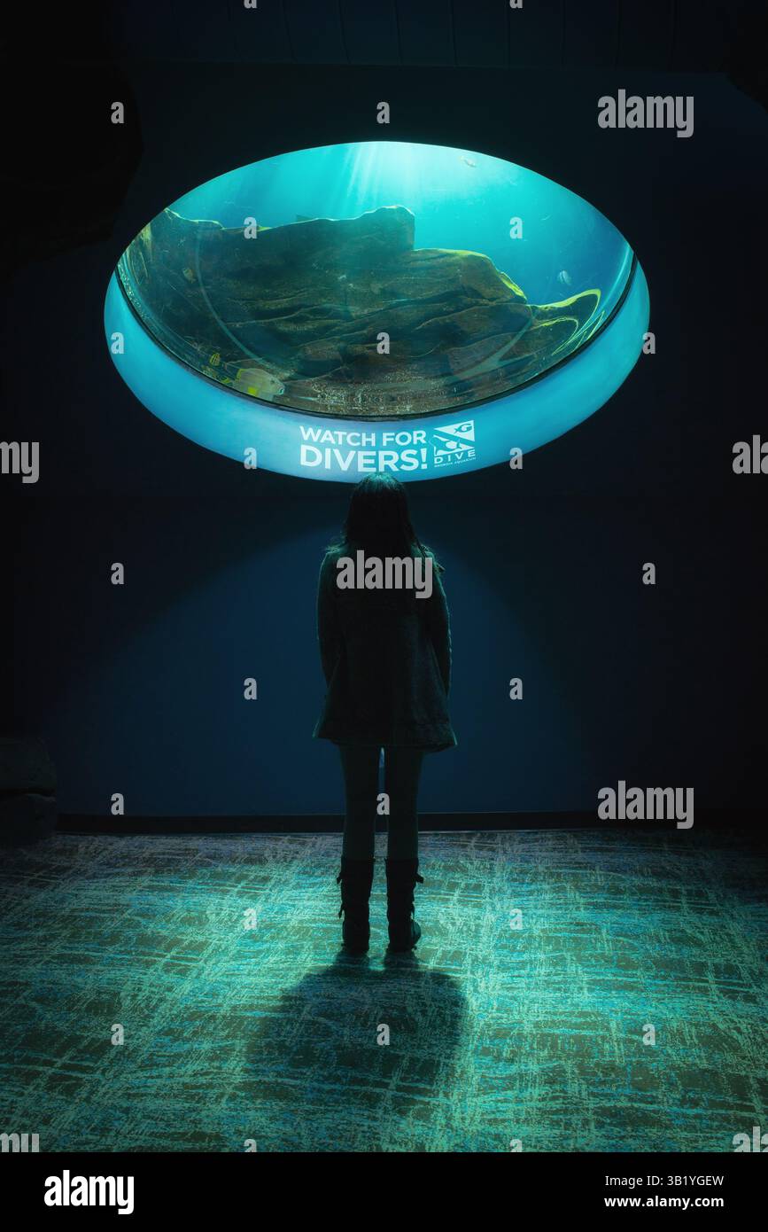 Una ragazza è ipnotizzata dai subacquei dell'acquario, Georgia Aquarium, Atlanta, Georgia Foto Stock