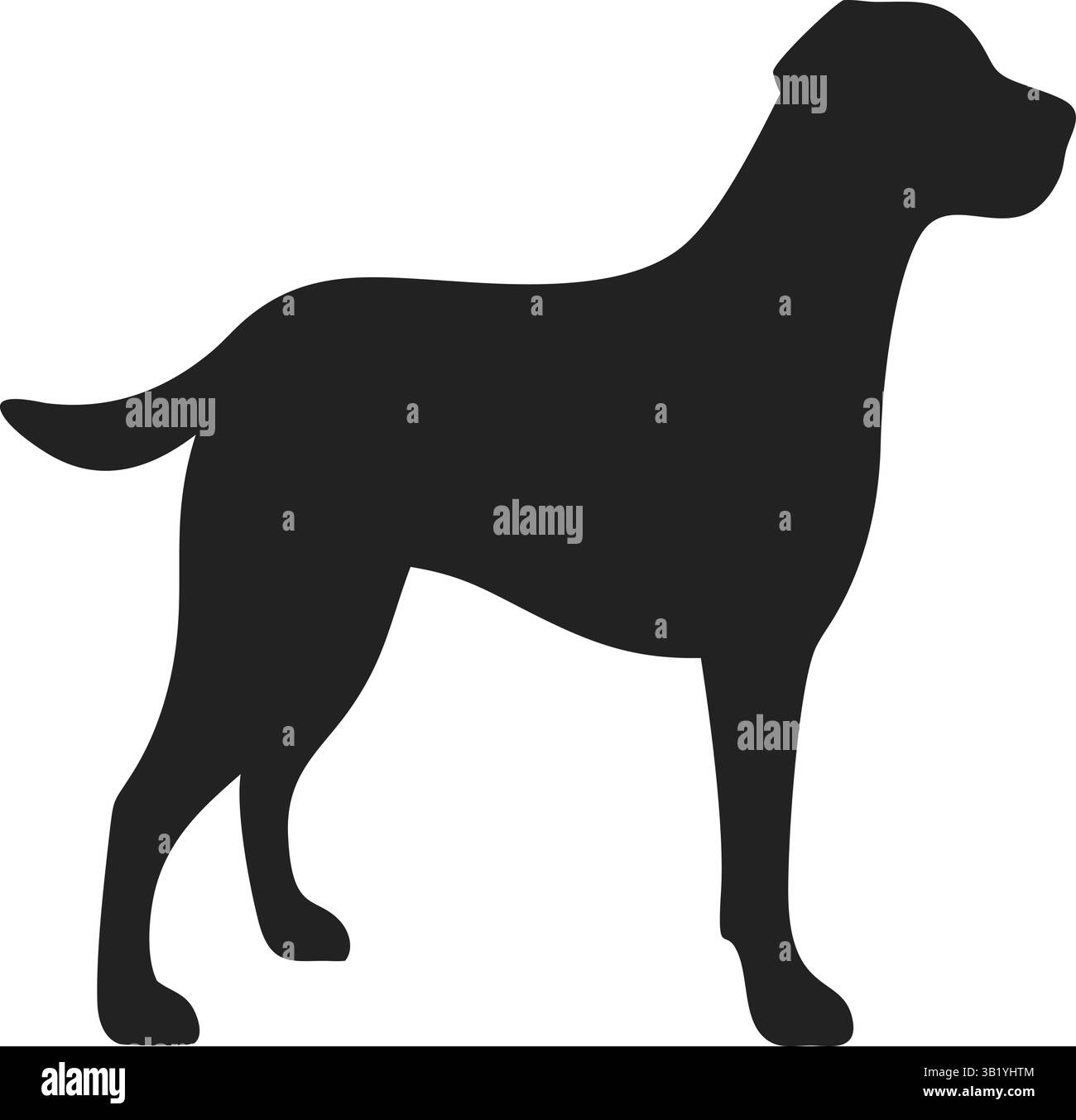 Grafica Black Labrador Retriever | Labrador Dog | Vector Art | silhouette canina Illustrazione Vettoriale