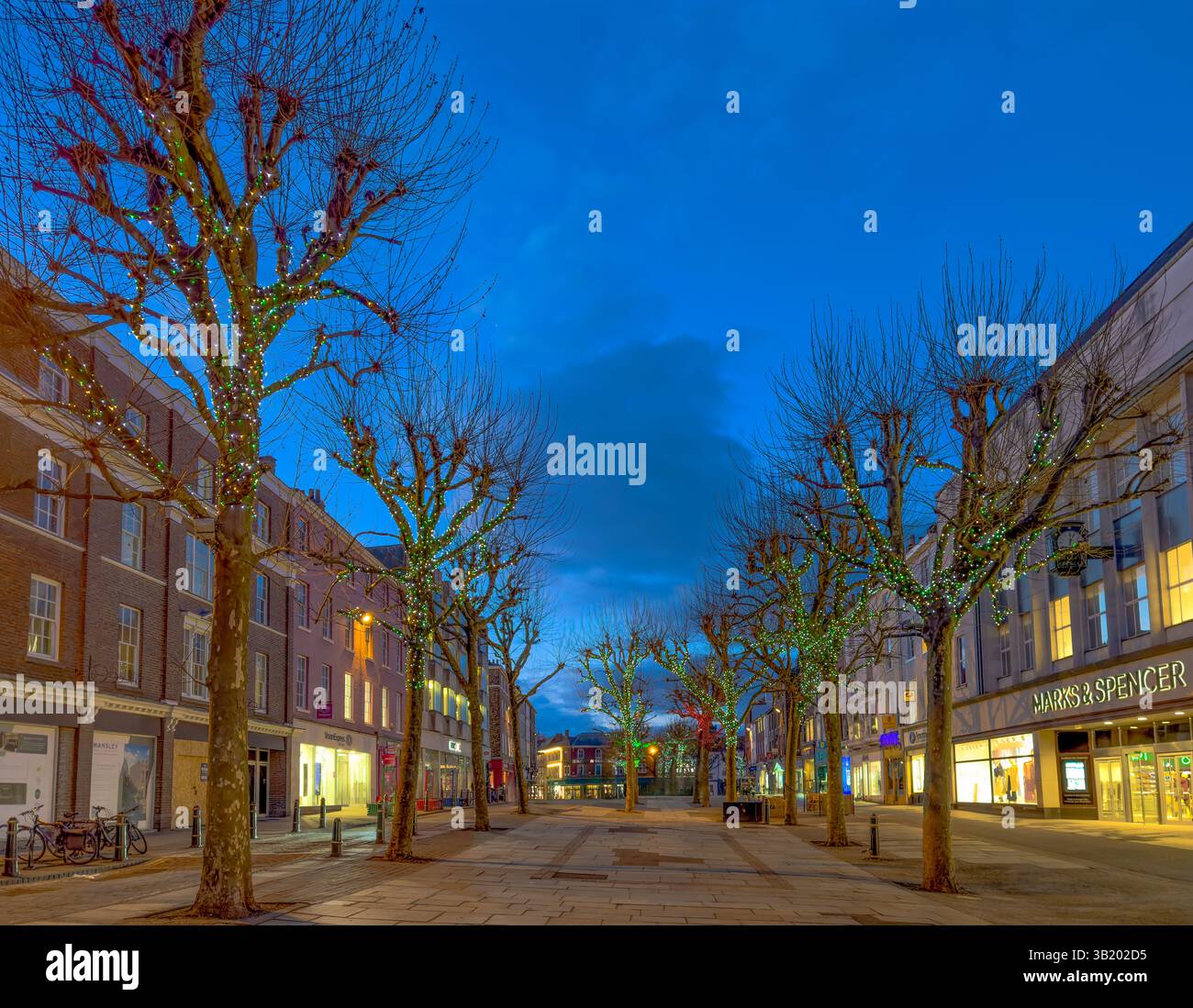 La deserta Parliament Street di York all'ora blu, con gli alberi che fiancheggiano la strada illuminata da luci colorate. North Yorkshire, Regno Unito Foto Stock