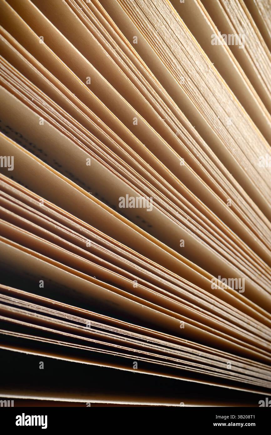 Vecchie pagine di libri antichi Biblioteca collezione d'annata Scienza e storia sfondo pallido di colore biege Foto Stock