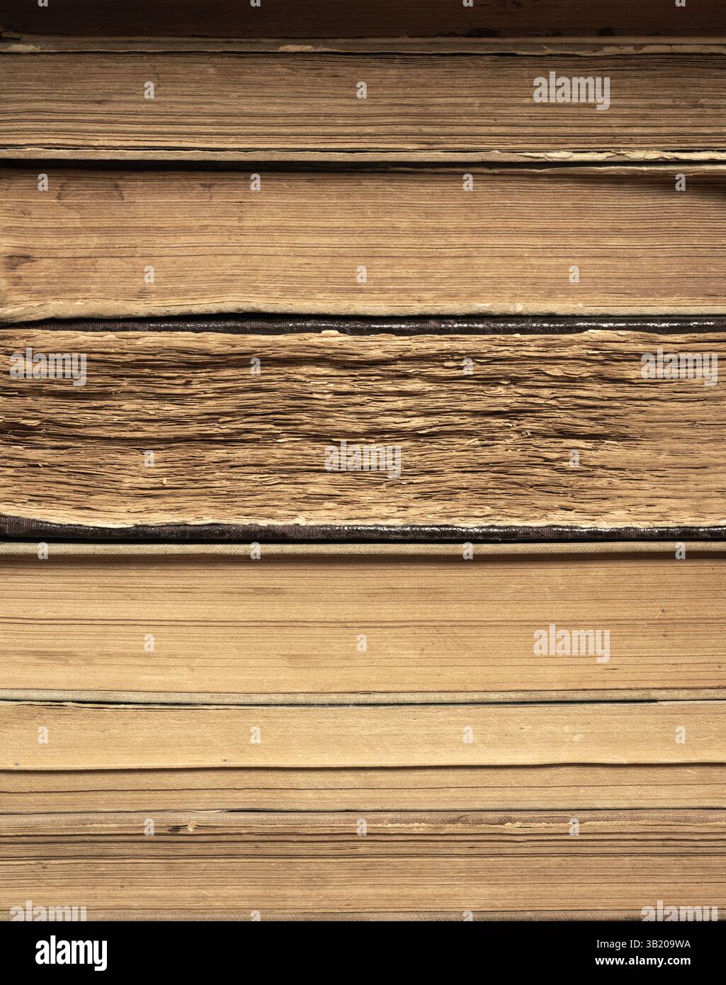 Vecchi libri antichi Biblioteca collezione d'annata Scienza e storia sfondo pallido di colore biege Foto Stock