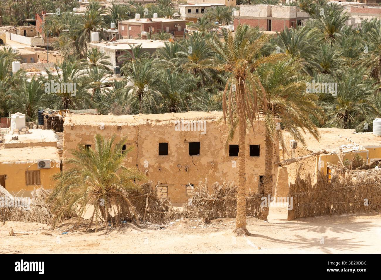 Oasi di Siwa, Egitto Foto Stock