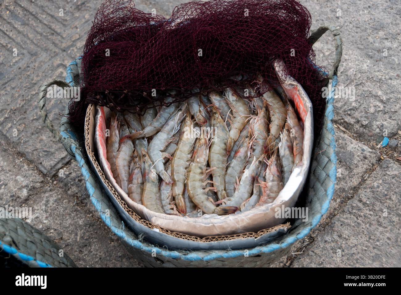 Alejandría, Egipto Foto Stock