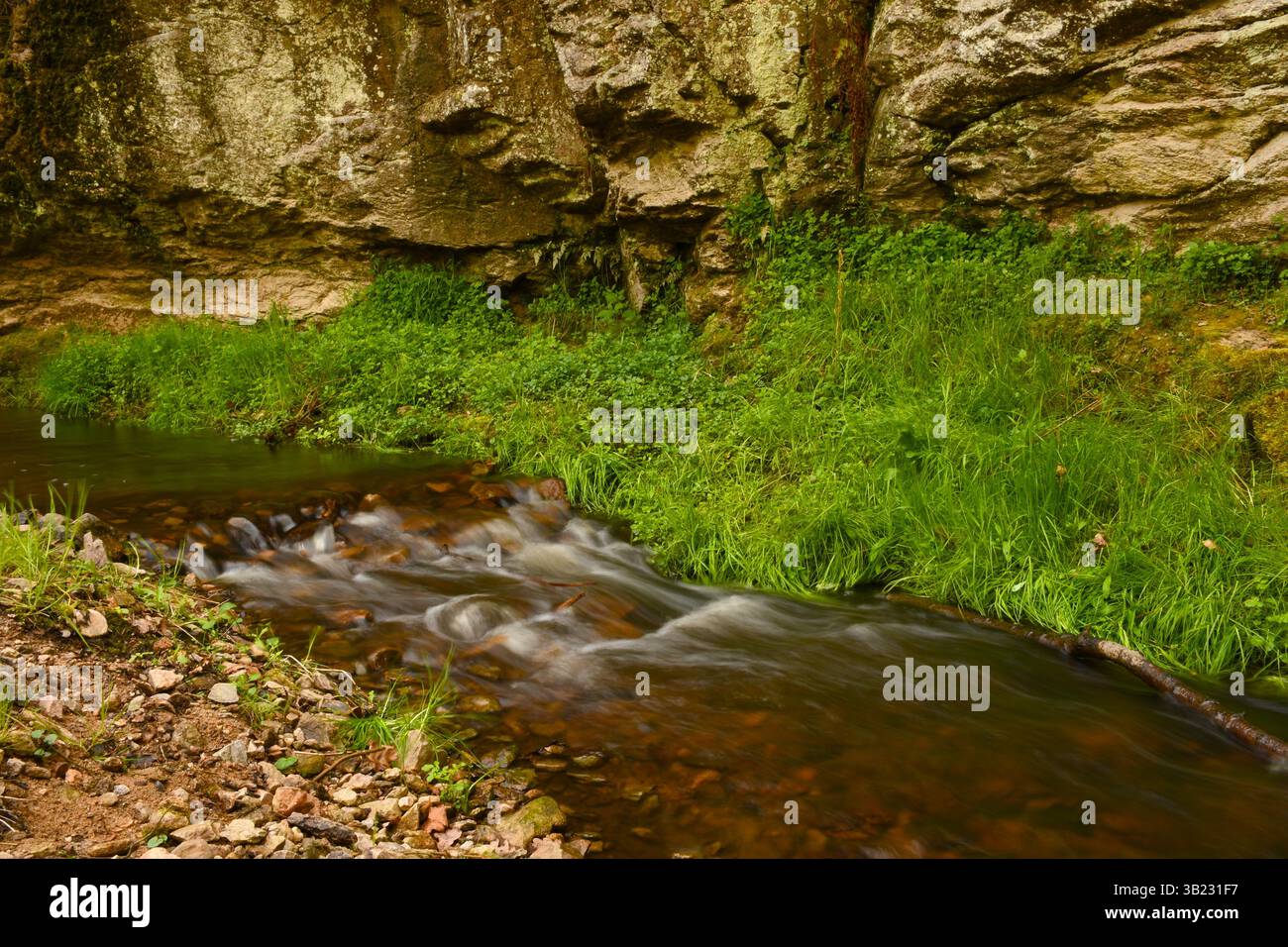 Piccolo ruscello che scorre oltre rocce e erba verde. Foto Stock