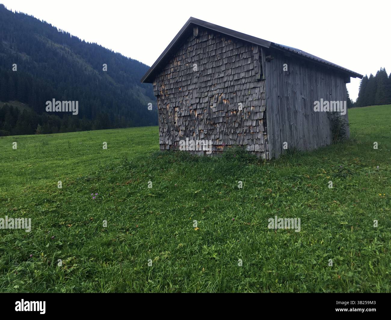 Tipico capannone di legno in Austria, Tirolo con erba verde in estate circondato dalle Alpi europee. Foto Stock