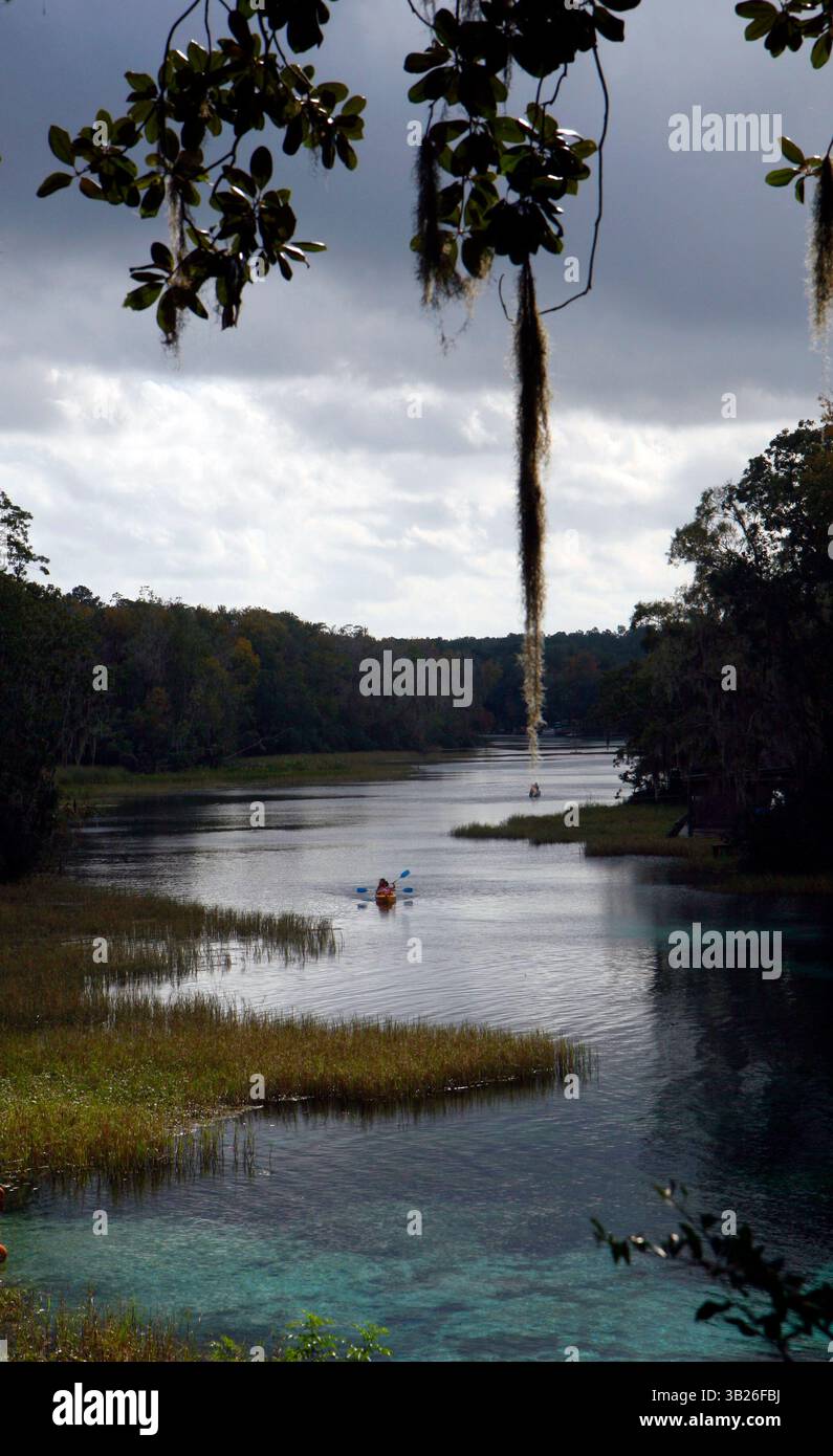 13 dicembre 2009 - Dunellen, Florida, Stati Uniti - Rainbow River. Rainbow Springs State Park. Marion County, Florida, 100 miglia a nord-ovest di Orlando. Un tempo chiamato Wekiwa Creek, Blue Spring e Blue Run, le prove archeologiche indicano che le acque del fiume Rainbow hanno attratto e sostenuto gli abitanti umani per oltre 10.000 anni. L'acqua cristallina, ricca di pesci, fauna selvatica e vegetazione, insieme alla temperatura costante dell'acqua di 73 gradi, ha attirato una serie di attività moderne. Il Florida Park Service ha ufficialmente aperto il Rainbow Springs State Park a tempo pieno il giorno della prima settimana Foto Stock