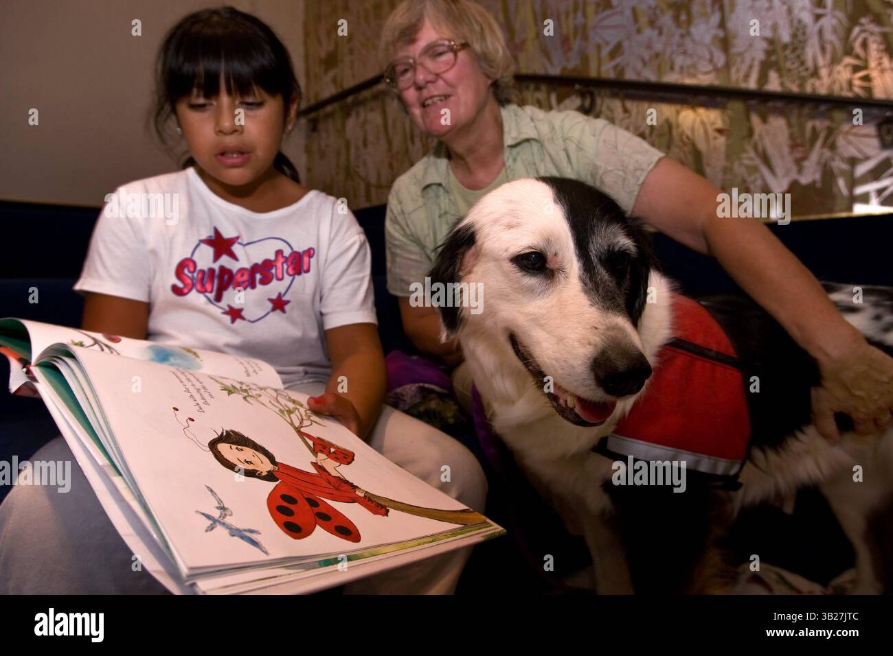 DARRYL BUSH/dbush@modbee.com.Citalli Leon, 9 anni, di Modesto legge ''Ladybug Girl'' a ''Dutchess'', una donna di confine Collie di 13 anni di proprietà di Jennifer Slater di Sonora, durante un programma gratuito in cui i bambini fino ai 12 anni sono invitati a leggere ad un cane da terapia certificato nel Dipartimento per bambini della Biblioteca della Contea di Stanislaus a Modesto, a Modesto, giovedì 10 settembre 2009. (Immagine di credito: © Modesto Bee/ZUMA Press) Foto Stock