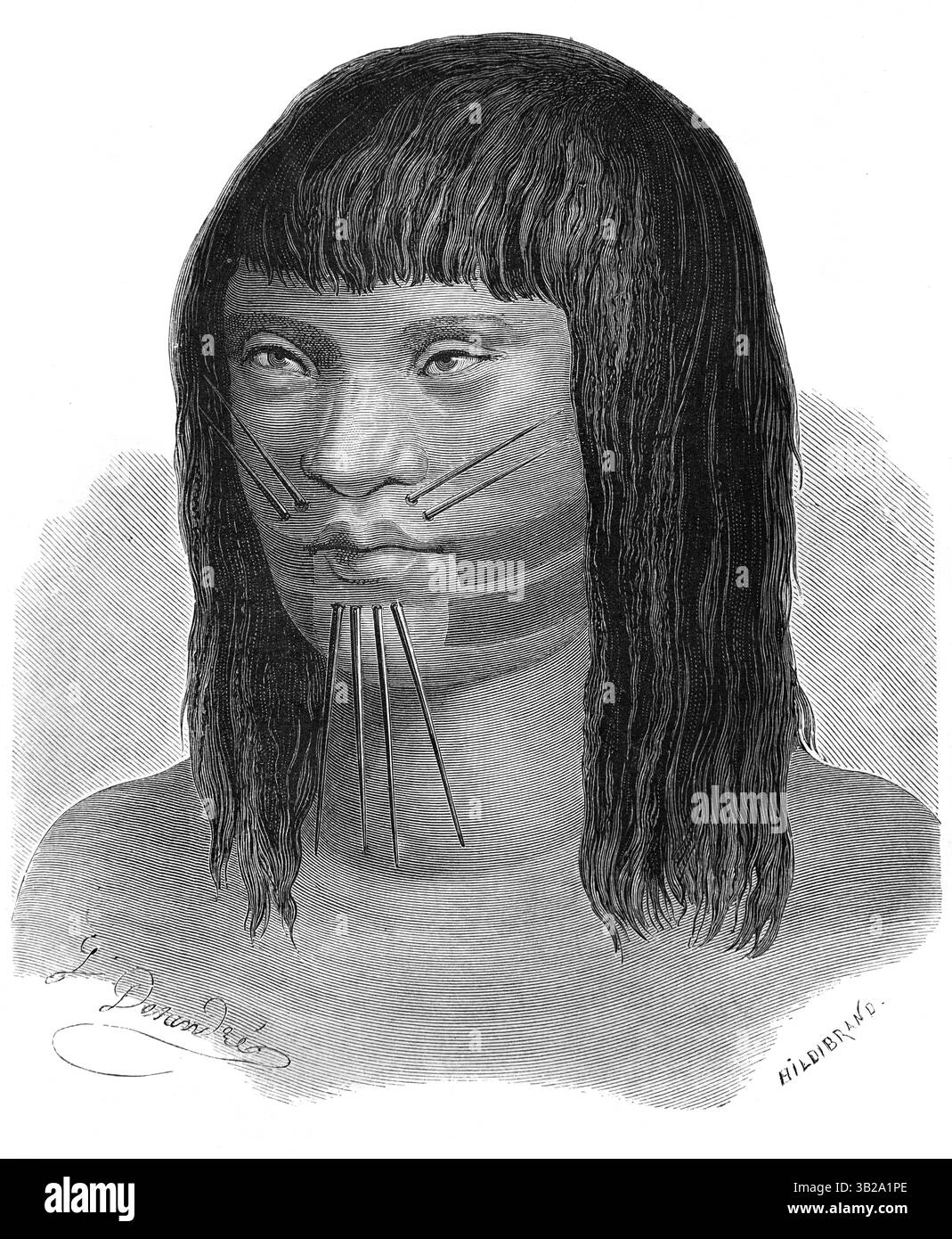 Ritratto di Matsés Man with Body Piercings, noto anche come Mayoruna o Panoan, un gruppo etnico indigeno dell'Amazzonia peruviana e brasiliana, Perù e Brasile. Incisione vintage o storica o illustrazione 1866 Foto Stock