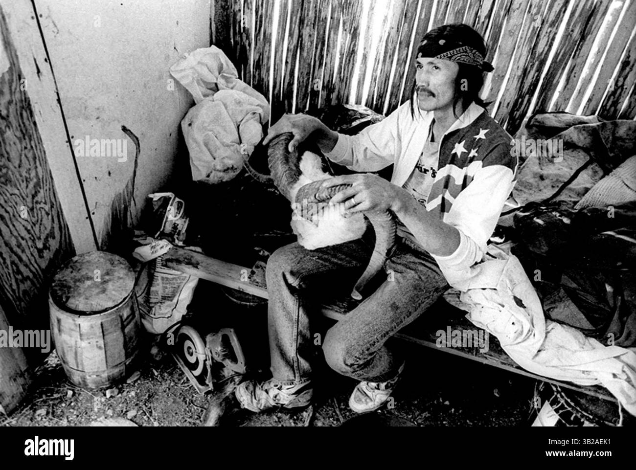 15 giugno 1992 - Venetie, Alaska, Stati Uniti - Gwich'in the Carabou People. La parola "Gwich'in” significa "popolo della terra” e si riferisce a un popolo che ha vissuto nell'Artico da prima dei confini politici che ora attraversano i Gwich'in le terre d'origine sono state disegnate su mappe che dividono l'Alaska e il Canada. La tradizione orale indica che i Gwich'in hanno occupato quest'area da tempo immemorabile, o, secondo la credenza convenzionale, fino a 20.000 anni. (Immagine di credito: © Kirk condyles/ZUMA Press) Foto Stock