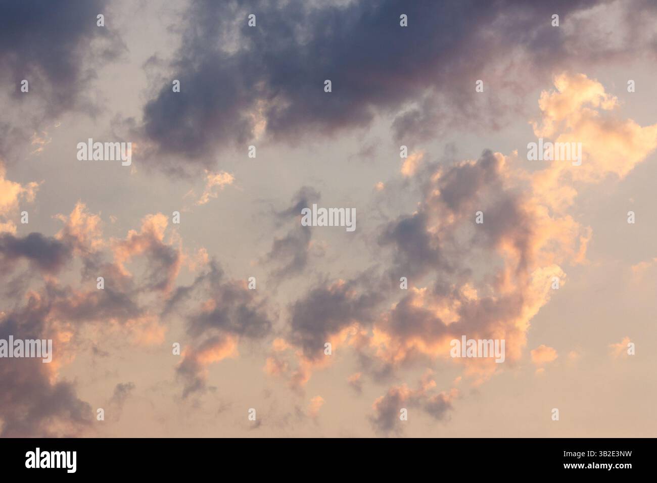 cumulus nuvole sul cielo soffiate dal vento. paesaggio nuvoloso. sfondo meteorologico nuvoloso con bagliore arancione. atmosfera serale Foto Stock