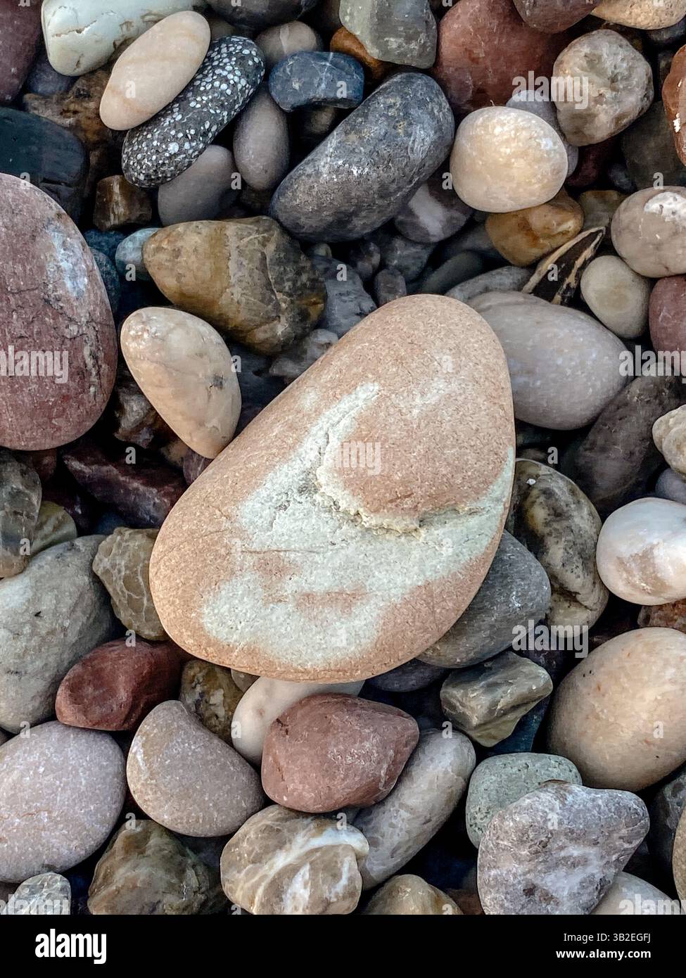 Primo piano di pietre di ciottoli colorati su una spiaggia con una grande pietra testurizzata al centro circondata da rocce lisce di diverse forme e tonalità terrose Foto Stock