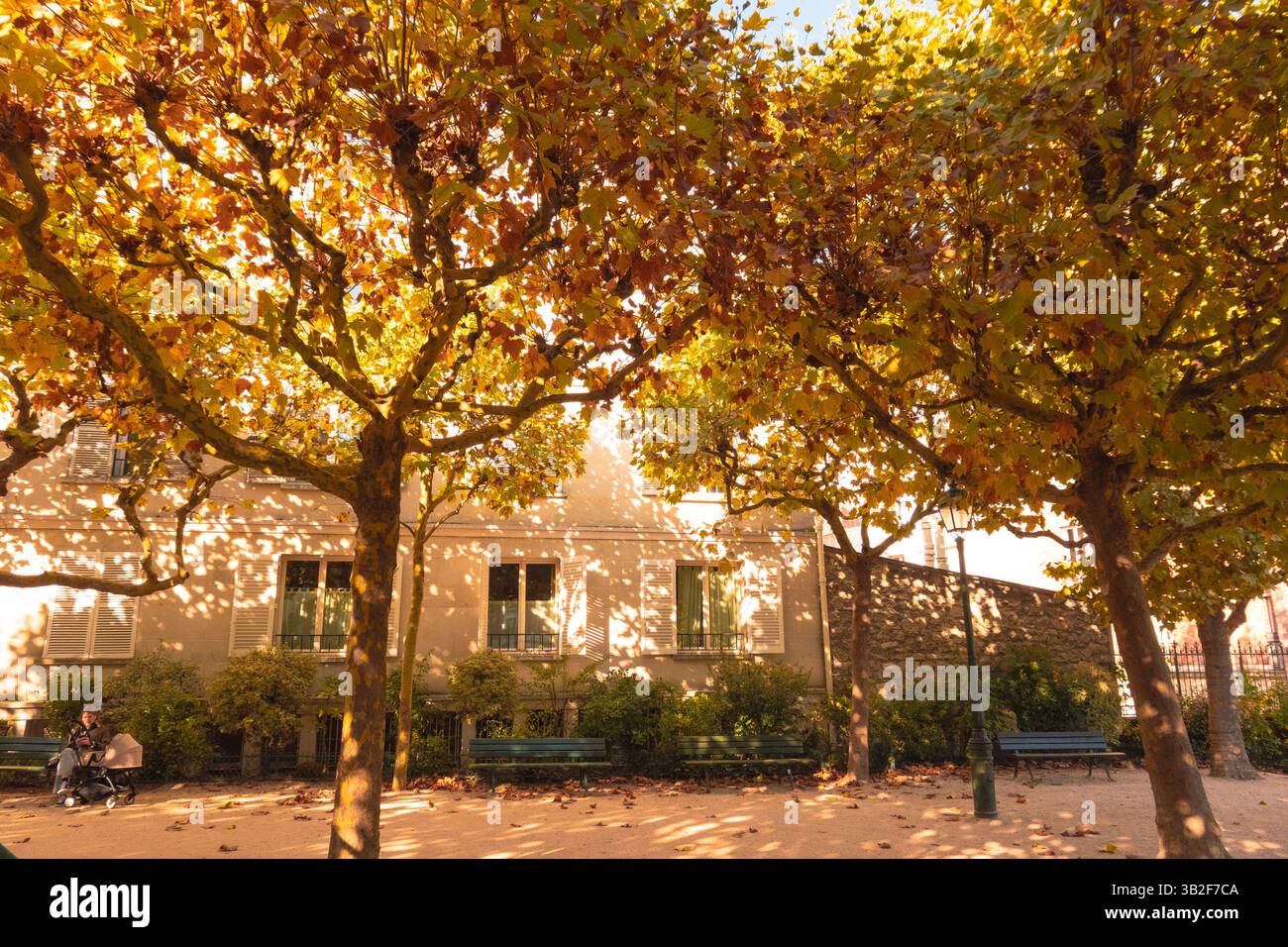 Serene Urban Park - tranquillo giardino autunnale con fogliame illuminato dal sole Foto Stock