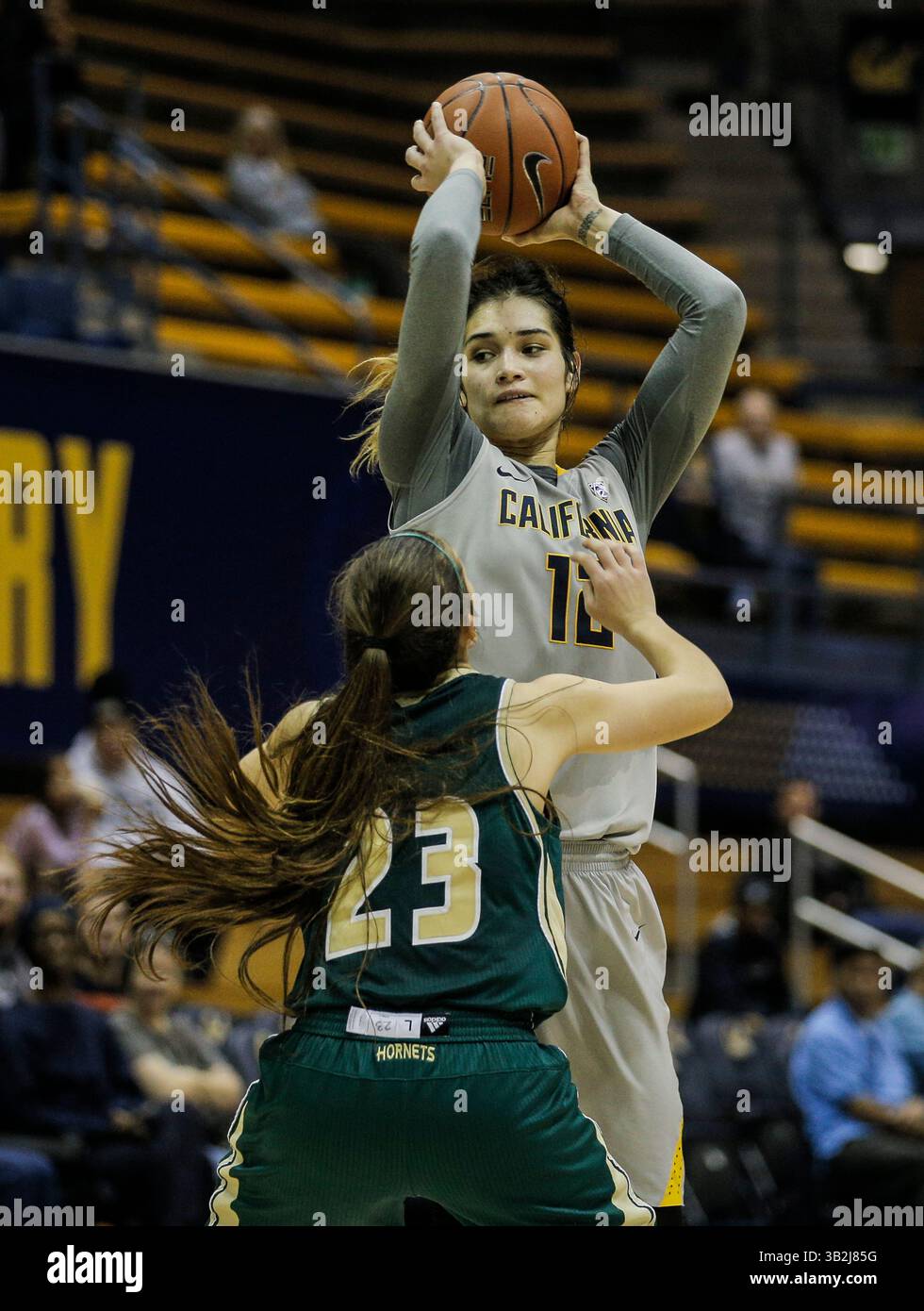 06 dic 2015 - Berkeley USA CA - California F # 12 Penina Davidson ha segnato 8 punti e 4 assist durante la partita di pallacanestro femminile NCAA tra Sacramento State Hornets e California Golden Bears 117-99 vittoria all'Hass Pavilion Berkeley California. Thurman James / CSM(immagine di credito: © Thurman James/CSM via ZUMA Wire) Foto Stock