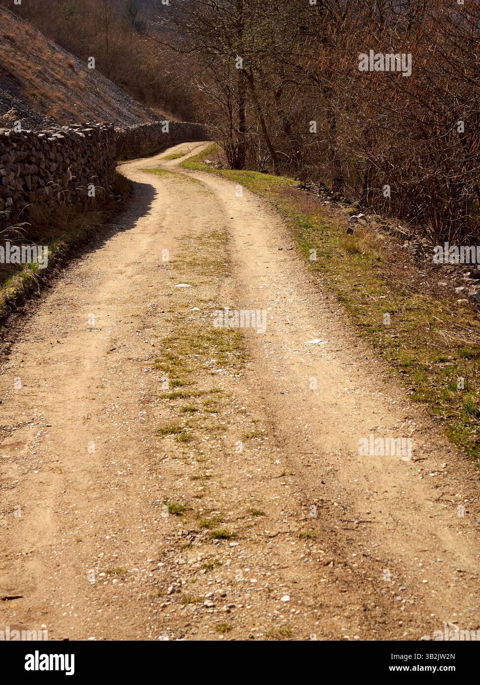 Strada sterrata di montagna con mura di contenimento, ad Andonno, Val Gesso, Cuneo, Piemonte, Italia Foto Stock