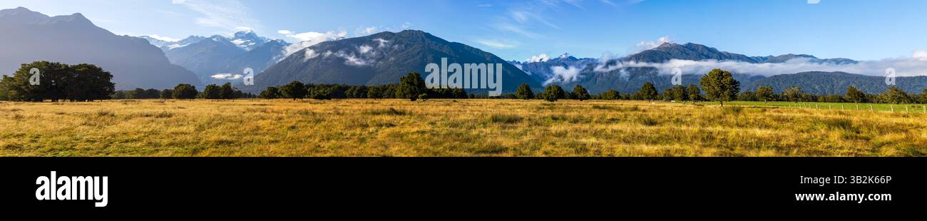 Southern Alps e Fox Glacier Distance View, South Island nuova Zelanda Foto Stock