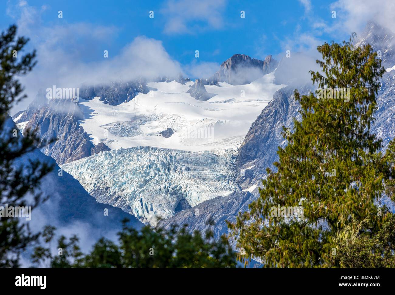 Southern Alps e Fox Glacier Distance View, South Island nuova Zelanda Foto Stock