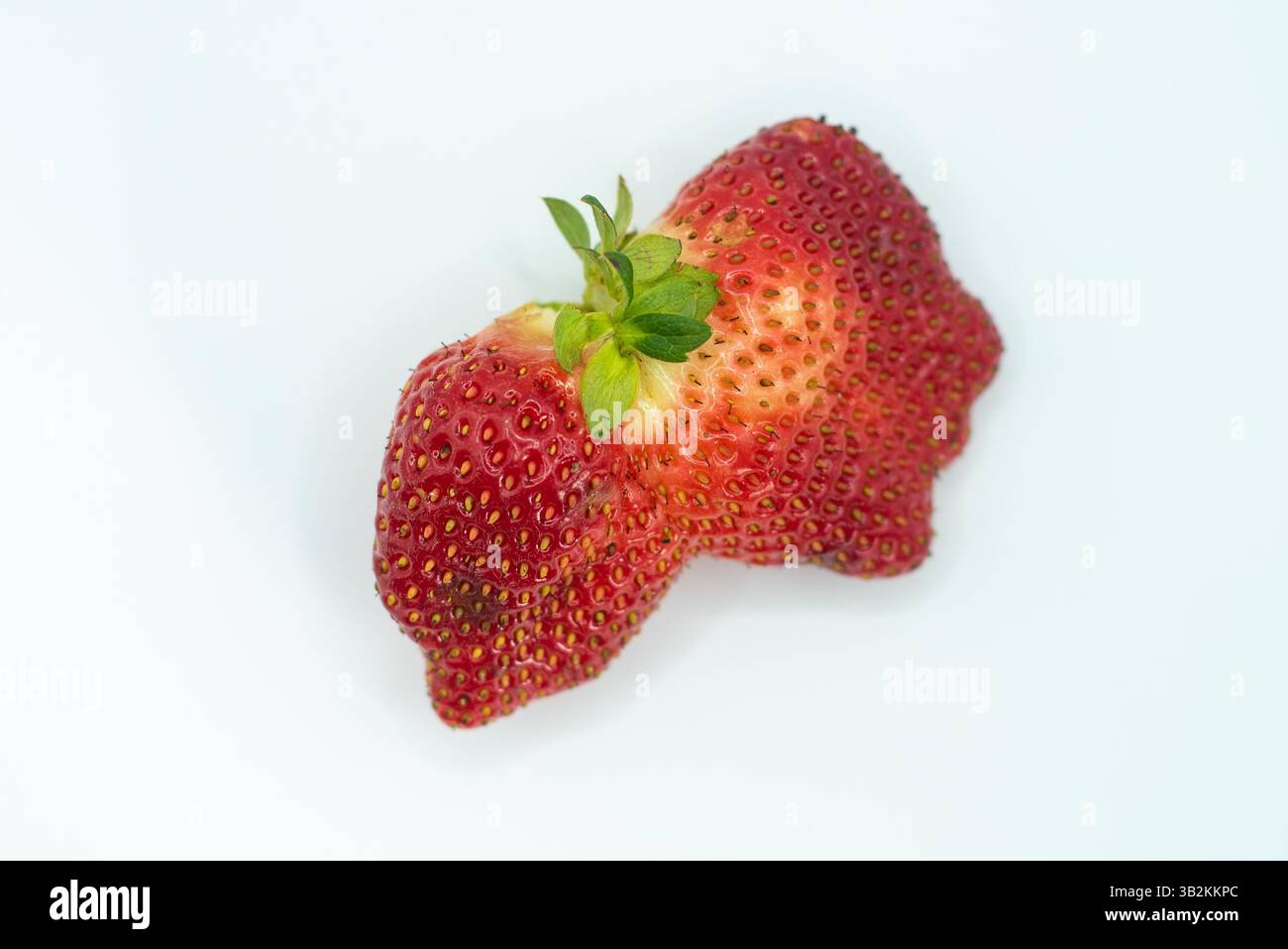 fragola dalla forma insolita Foto Stock
