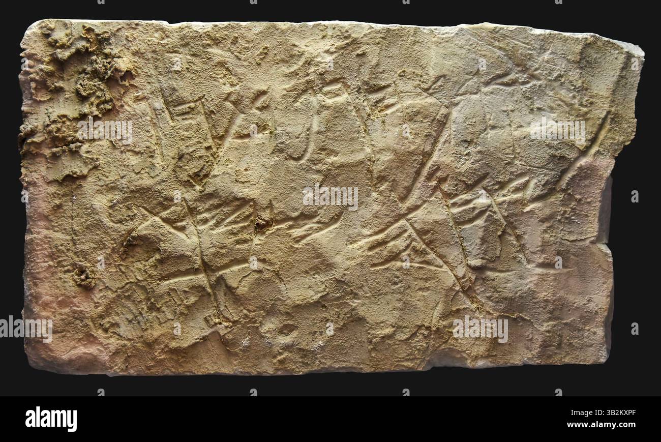 7455. Iscrizione in pietra scritta in paleo-ebraico: "Maledetto essere Hagaf figlio di Hagav da Yahweh Sabaot". Foto Stock