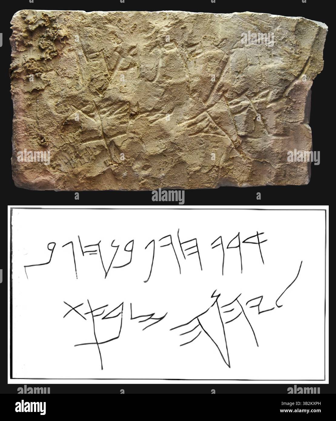 7455. Iscrizione in pietra scritta in paleo-ebraico: "Maledetto essere Hagaf figlio di Hagav da Yahweh Sabaot". Foto Stock