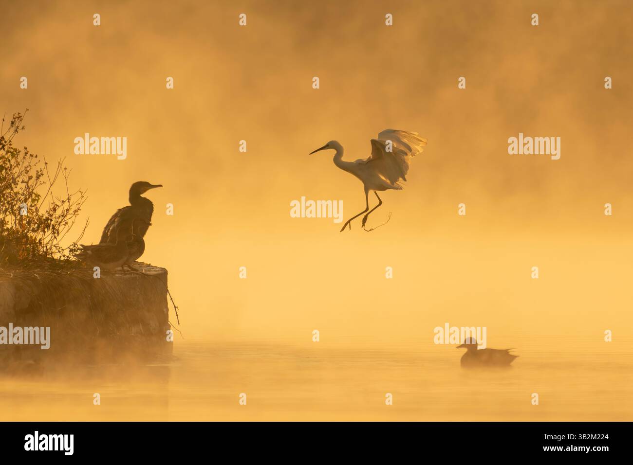 Fotografías infinitas del universo Foto Stock