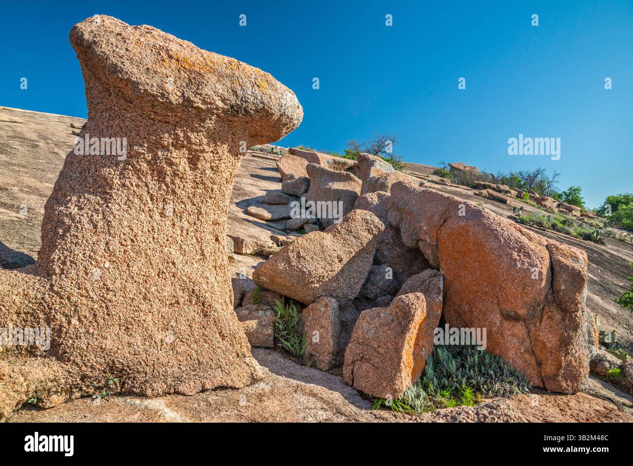 Massi di granito vicino alla cima di Enchanted Rock, area naturale statale, in Hill Country vicino a Fredericksburg, Texas, Stati Uniti Foto Stock