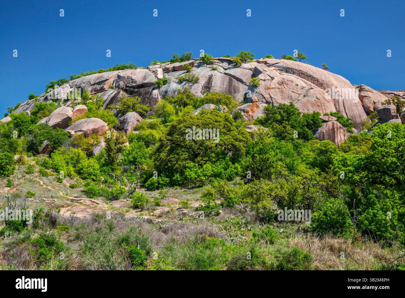 La cupola principale di Enchanted Rock, vista dal sentiero per il lago Moss, l'area naturale statale di Enchanted Rock, in Hill Country vicino a Fredericksburg, Texas, Stati Uniti Foto Stock