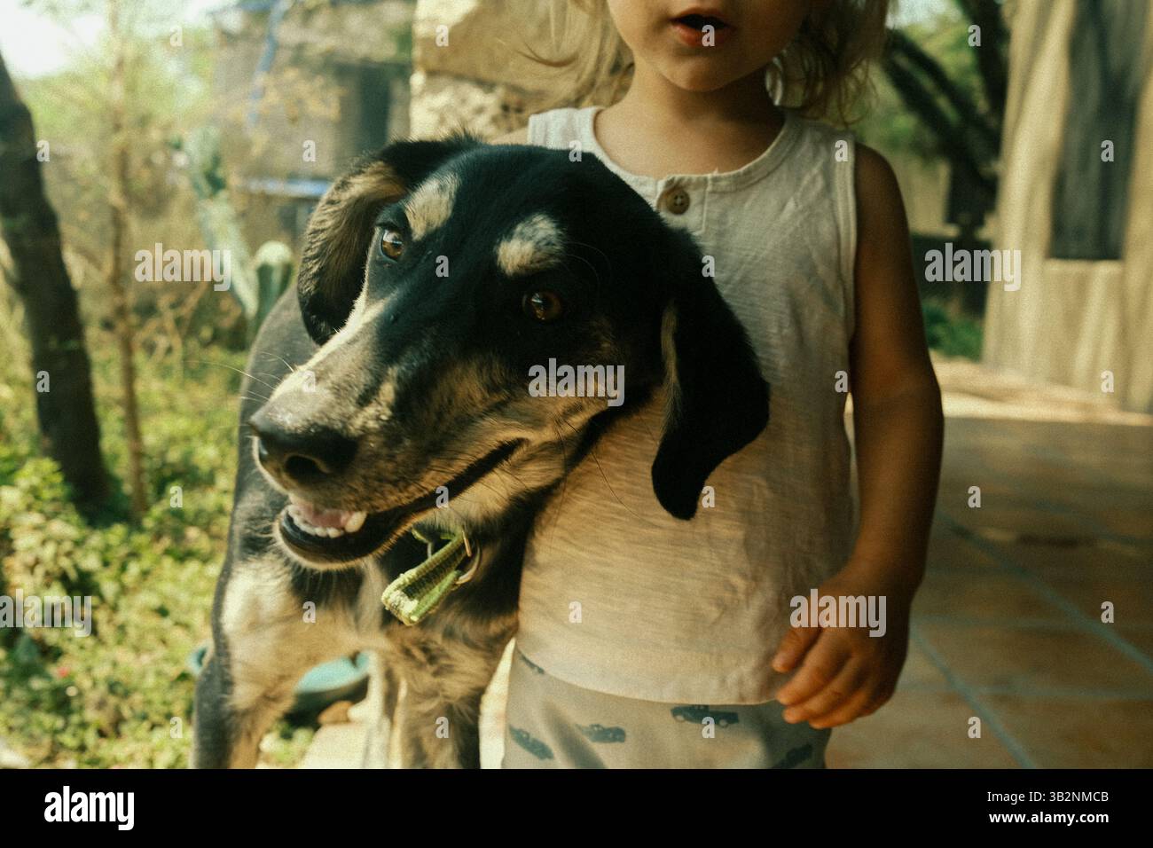 I migliori amici del sole Foto Stock