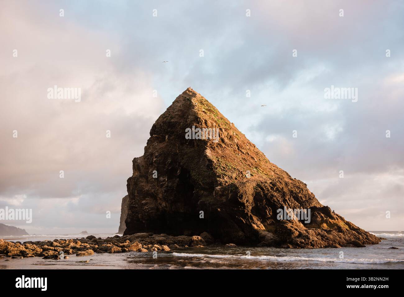 La sera si illumina su un litorale della costa dell'Oregon Foto Stock