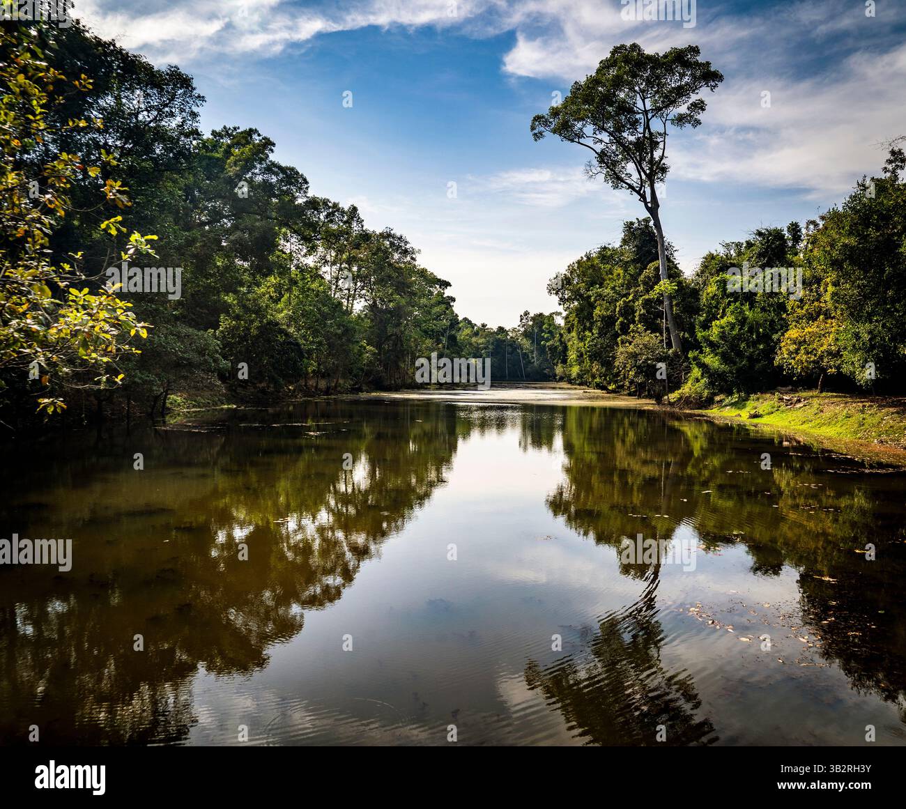 Un tranquillo paesaggio caratterizzato da un fiume calmo che riflette la vegetazione lussureggiante circostante e gli alberi sotto un cielo blu limpido. La scena evoca tranquillità e.. Foto Stock