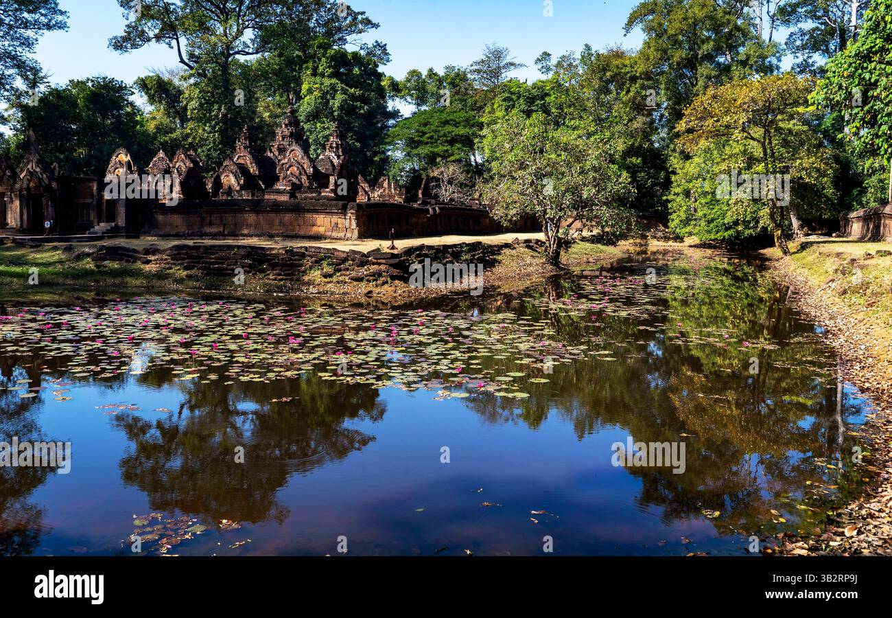 Un tranquillo paesaggio caratterizzato da un tranquillo laghetto circondato da vegetazione lussureggiante e antiche rovine del tempio. L'acqua riflette i colori vivaci del flusso di loto Foto Stock