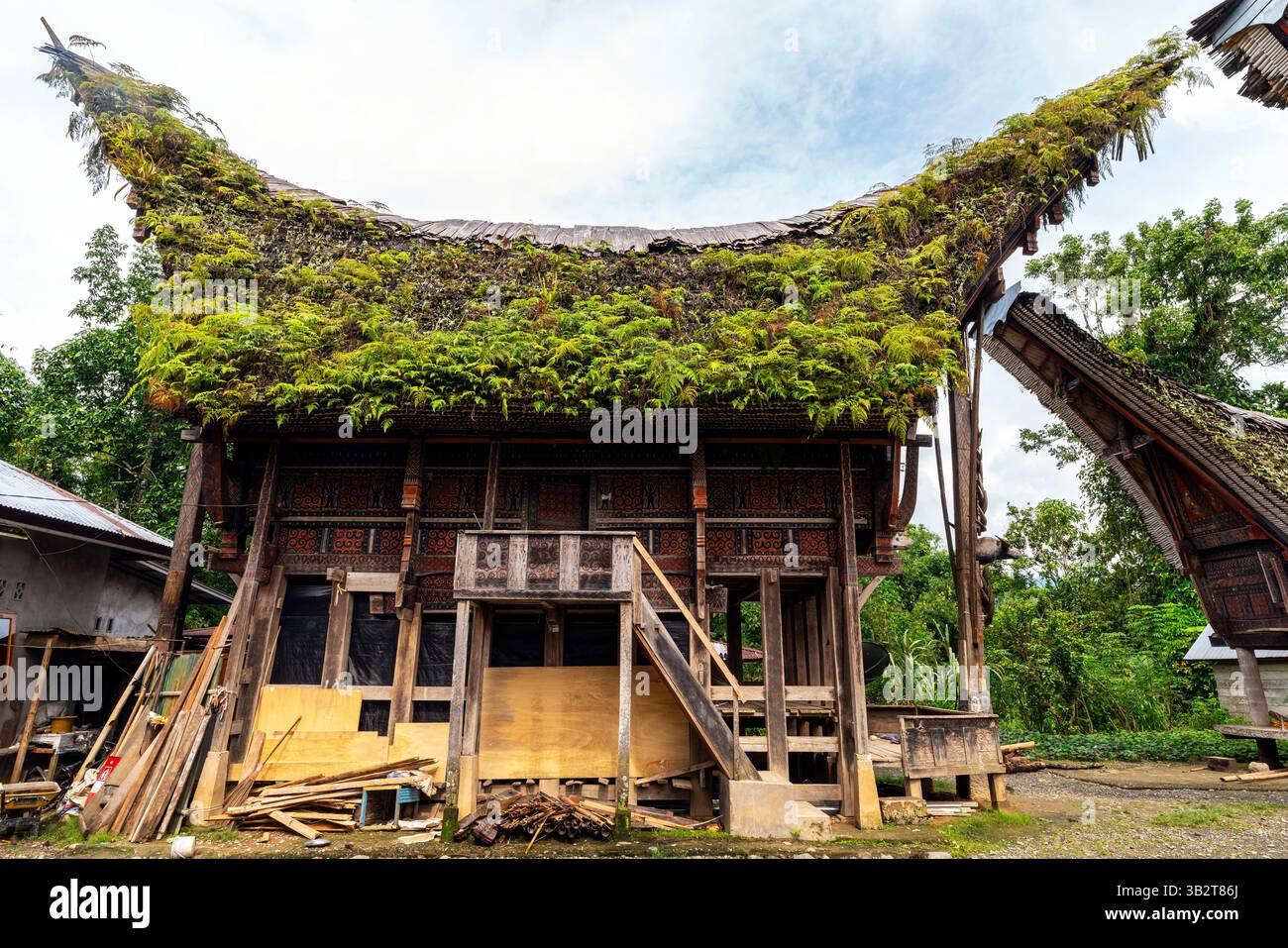 Ristrutturazione di case tongkonan con tetto a forma di barca a forma di saddleback con timpani nell'Old Palawa Village nel Sesean District, Sulawesi meridionale, Indonesia. Foto Stock