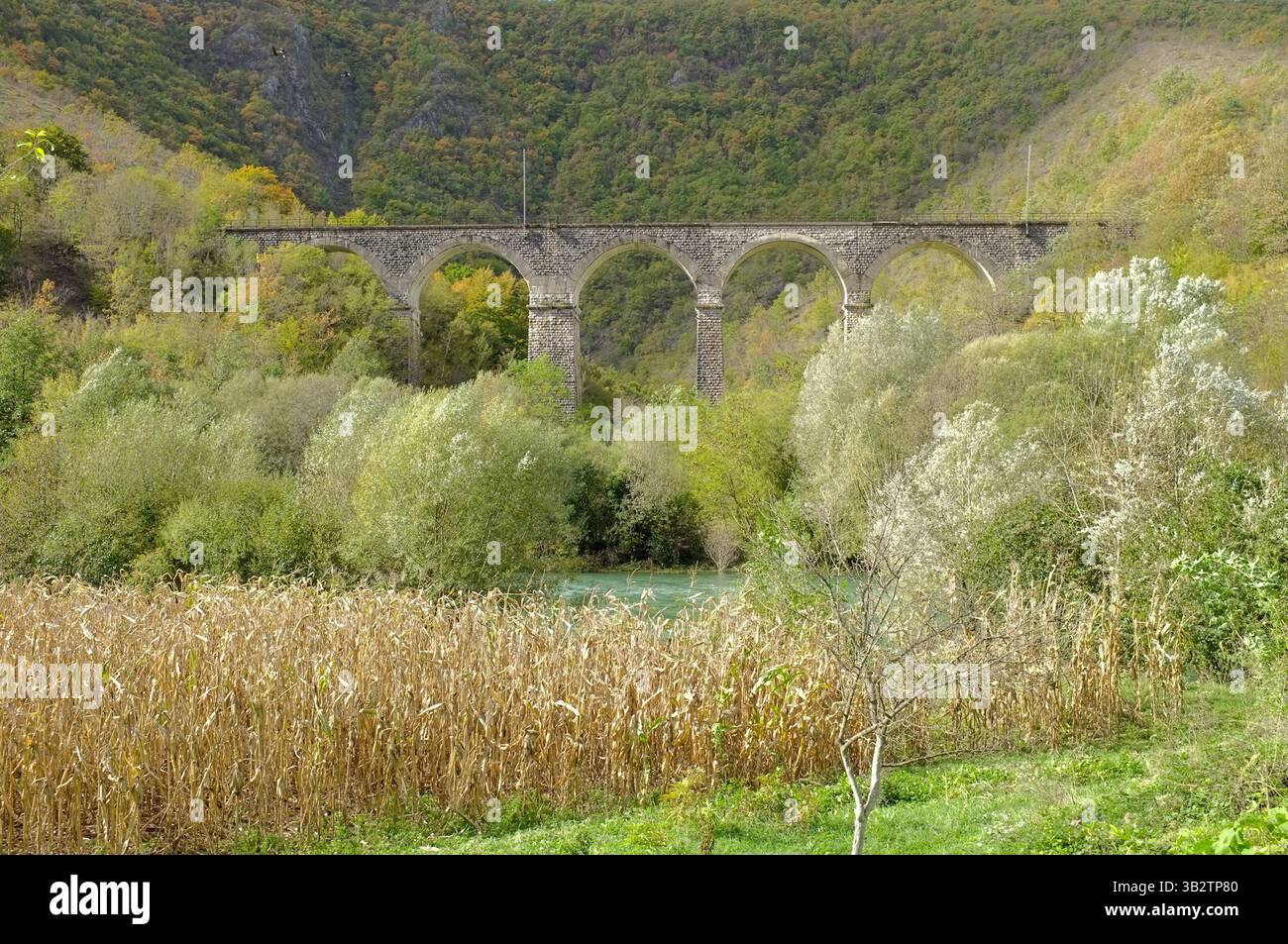 Viadotto Jarapaga ponte ferroviario in pietra lungo il fiume una in autunno, Parco Nazionale una - Martin Brod - Kulen Vakuf, Bosnia ed Erzegovina Foto Stock