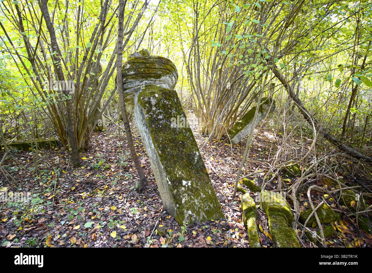 lapide con turbante stilizzato nel cimitero ottomano abbandonato vicino alla fortezza di Havala, Parco Nazionale una - Kulen Vakuf, Bosnia ed Erzegovina Foto Stock