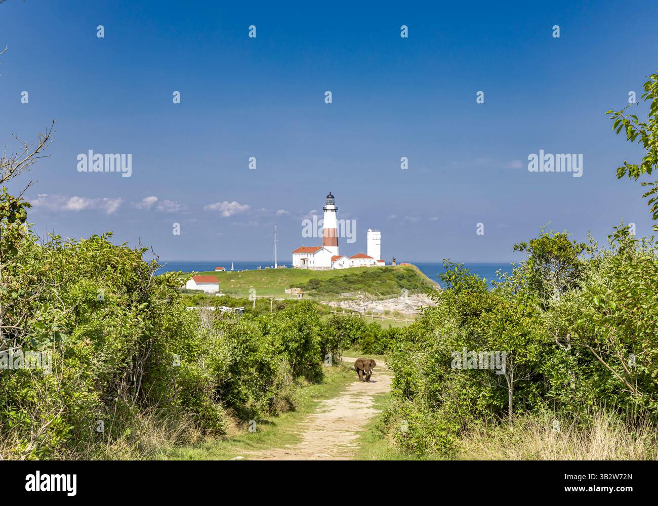 Un piccolo elefante su un sentiero con il faro di montauk sullo sfondo Foto Stock