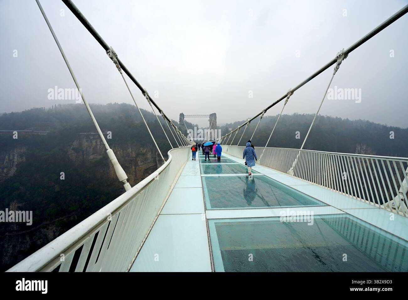 Avatar Grand Canyon Glass Bridge, Zhangjiajie, Hunan, Cina Foto Stock