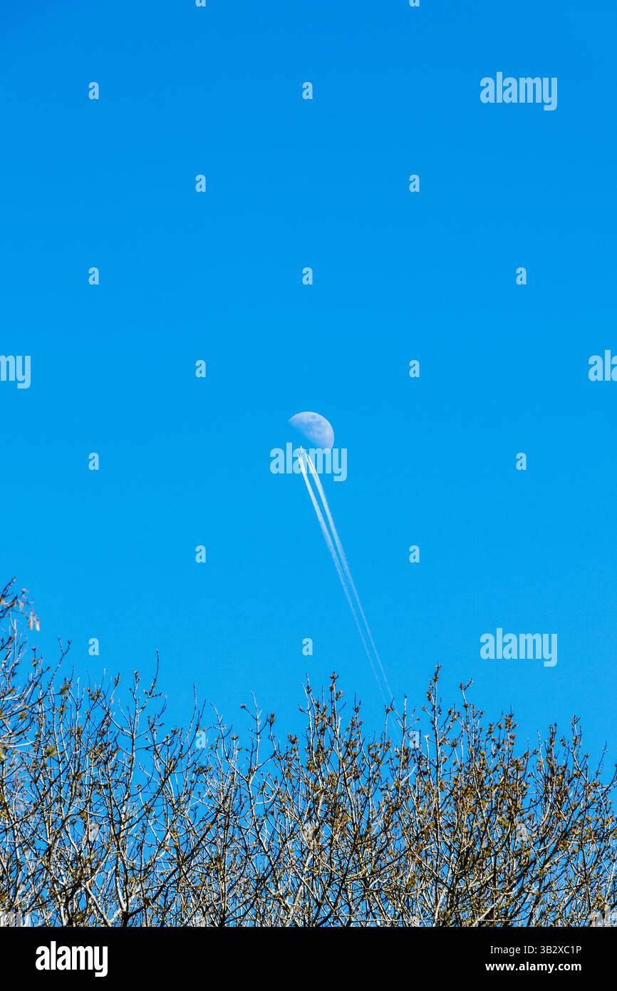Un aereo in contrail passa il primo quarto di luna (4/5/25) in un cielo blu pomeridiano, Londra, Regno Unito Foto Stock