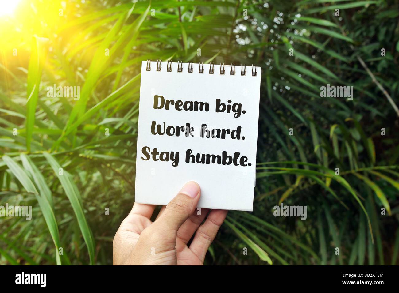 Notebook con impugnatura e testo Dream Big. Lavora sodo. Rimani umile nello sfondo verde tropicale della natura con luce solare, incoraggiando la motivazione Foto Stock