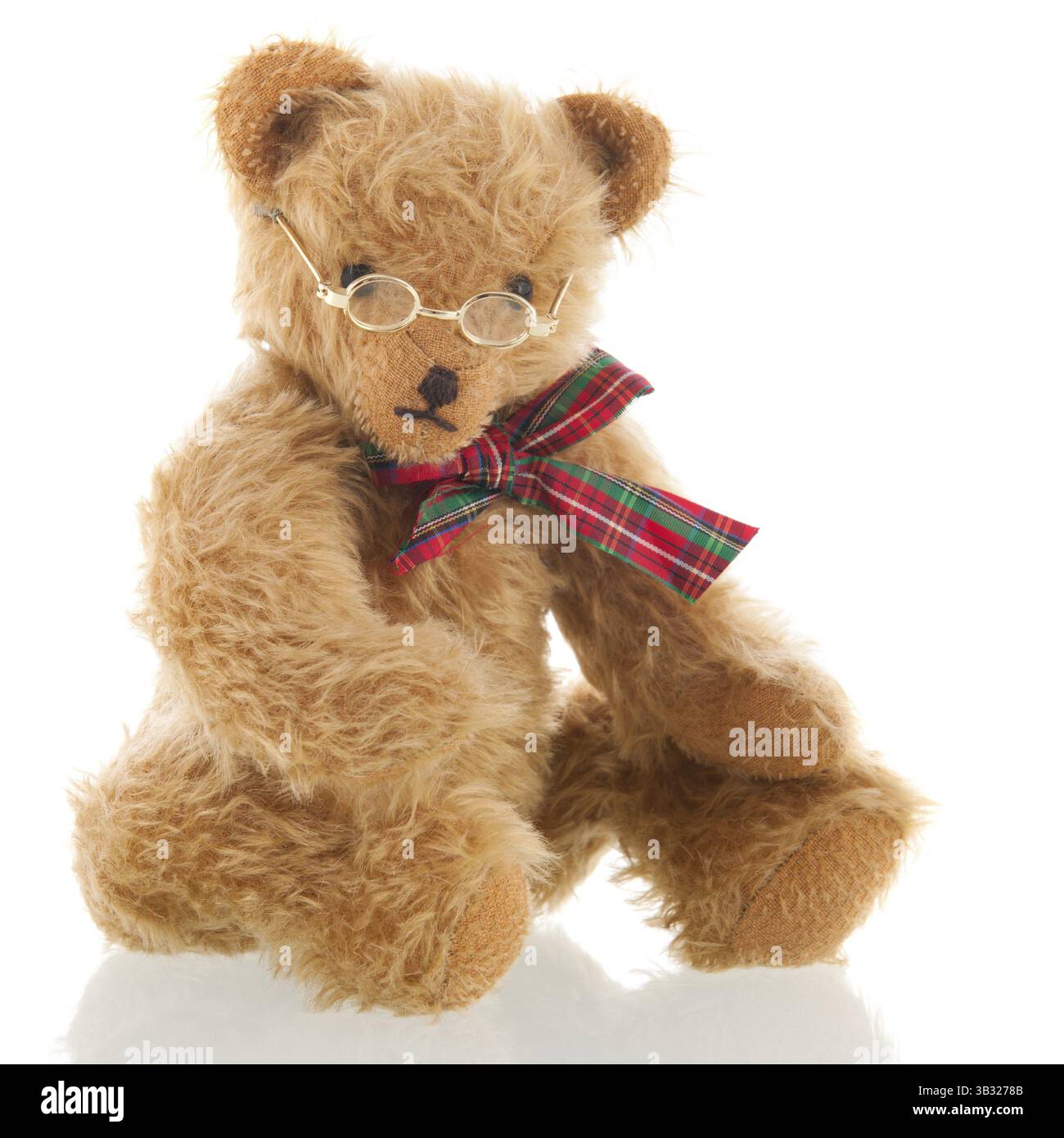 Farcite orso intelligente con vetri isolati su sfondo bianco Foto Stock