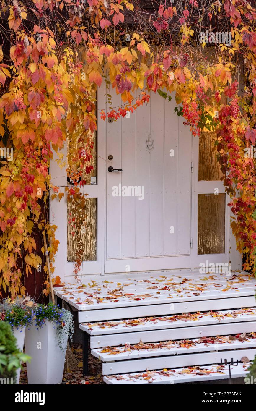 Scale colorate in autunno. Immagine verticale. Foto Stock