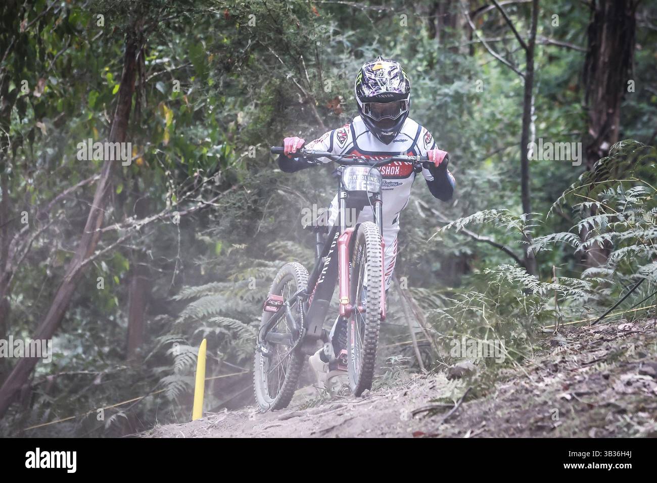 MAYDENA, AUSTRALIA - 08 FEBBRAIO: Troy BROSNAN dell'Australia gareggia nelle prove finali prima della finale a Red Bull Hardline Tasmania l'8 febbraio, Foto Stock