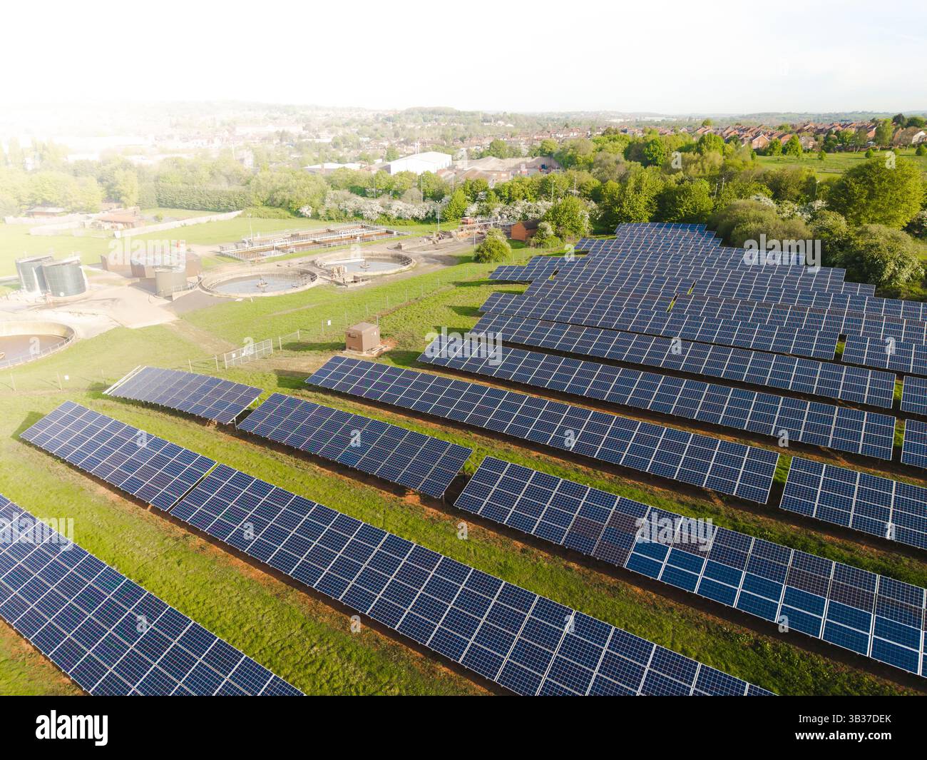 File di pannelli solari fotovoltaici su terreni agricoli che generano energia pulita e sostenibile per uso aziendale e domestico Foto Stock
