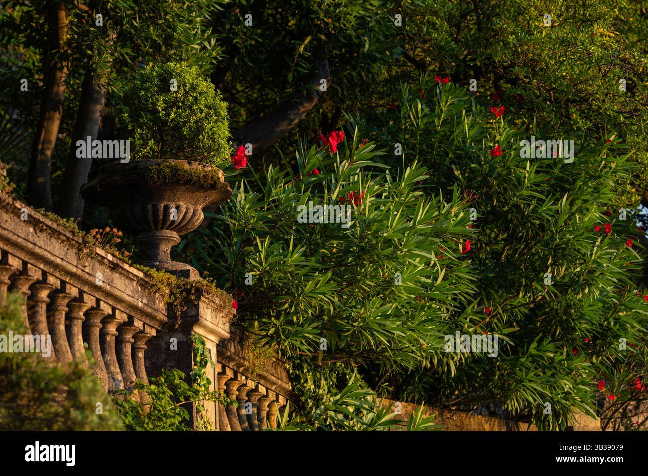 Balaustra ornata in pietra con vegetazione lussureggiante e fiori al tramonto a Varenna, Italia Foto Stock