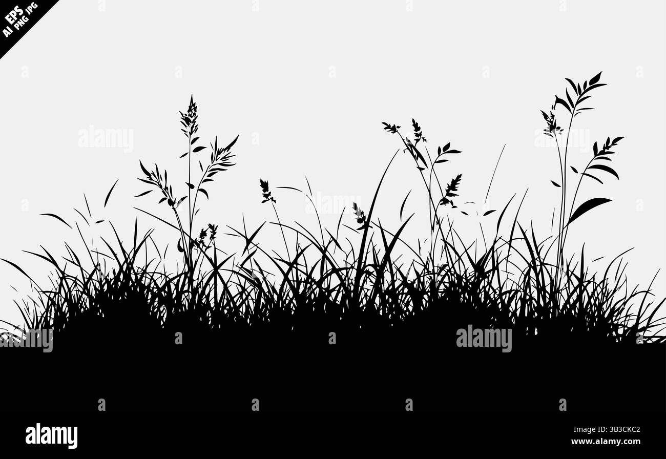 silhouette vettoriale in erba e fiore selvatico su sfondo nero su bianco Illustrazione Vettoriale