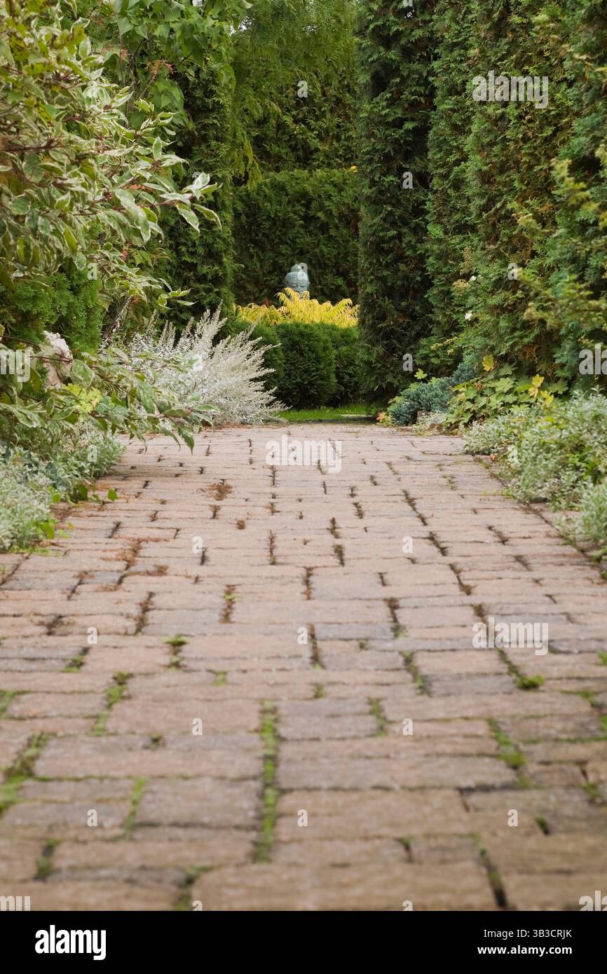 Sentiero in pietra di pavimentazione marrone delimitato da Artemisia ludoviciana, Thuja occidentalis - siepe di cedro che conduce alla scultura della testa di buddha con Rhus typhina ecc. Foto Stock