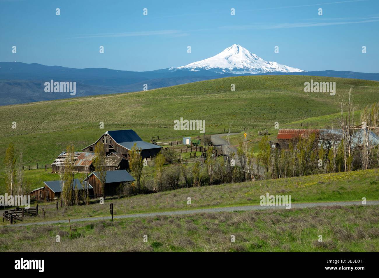 WA28370-00...WASHINGTON - Historic Dalles Mountain Ranch ora parte del Columbia Hills State Park. Foto Stock