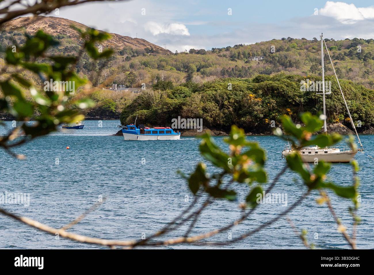 Traghetto Harbour Queen per Glengarriff con viaggio di ritorno da Garinish Island sulla Wild Atlantic Way, West Cork, Irlanda. Foto Stock