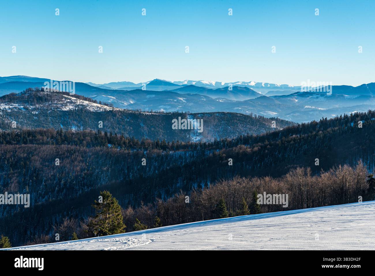 Vista della montagna Velky Choc e Nizke Tatry da Hala na Malej Raczy Bew Wielka Racza sulle montagne Beskid Zywiecki sui confini polacco-slovacco Foto Stock