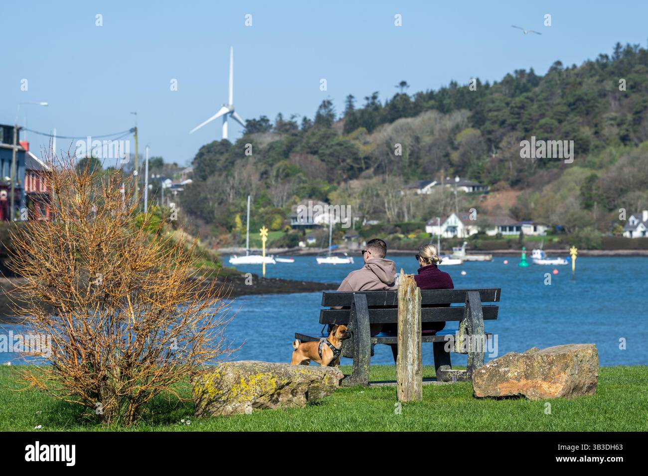 La coppia e il loro cane siedono su una panchina che si affaccia su Crosshaven Marina, West Cork, Irlanda, in una giornata calda e soleggiata. Foto Stock