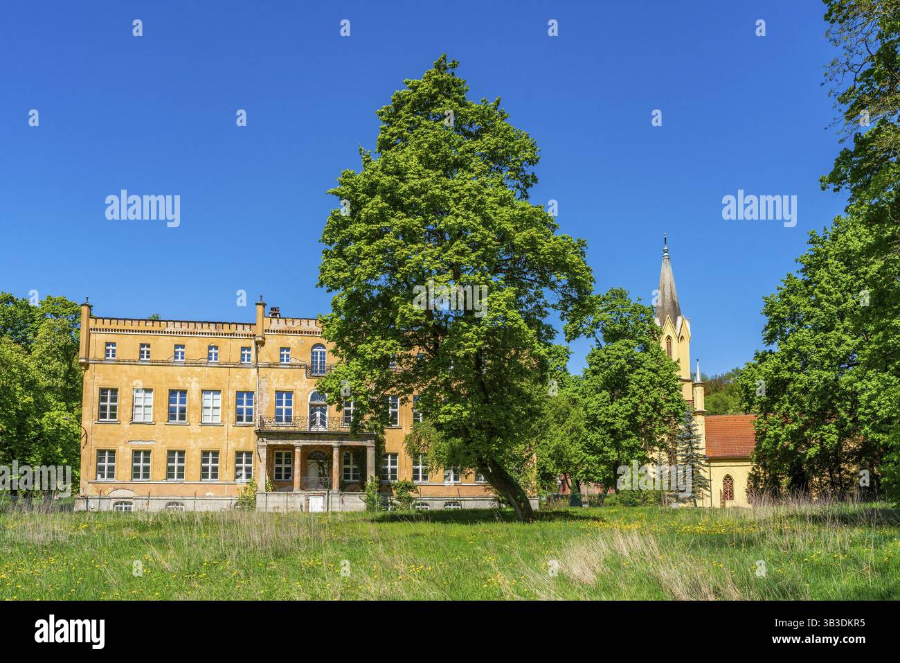 Complesso del castello di Tamsel, parco del castello e chiesa storica del villaggio, Dabroszyn, Witnica, Voivodato di Lubuskie, Polonia, Europa Foto Stock